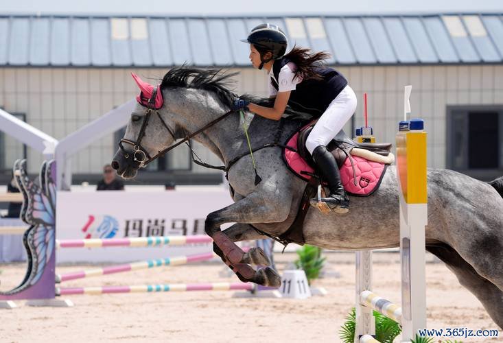 马术助力山村青少年掌控“人生方向”
