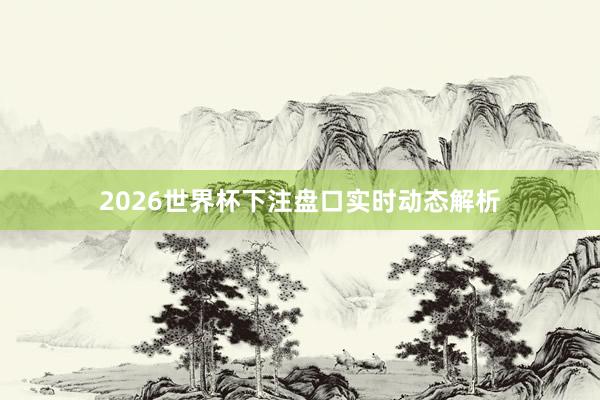 2026世界杯下注盘口实时动态解析